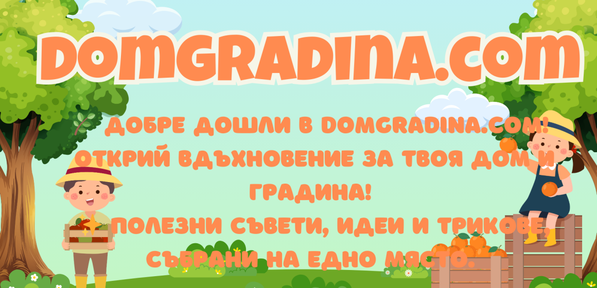 Трансформация на градината с минимален бюджет