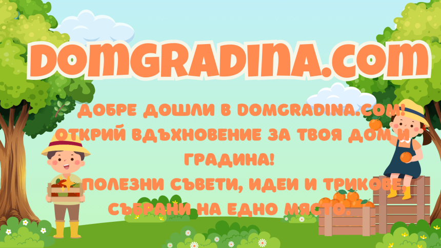 Трансформация на градината с минимален бюджет